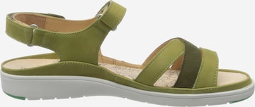 Ganter Sandals in Green