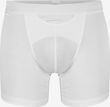 HOM Boxershorts in Wit: voorkant