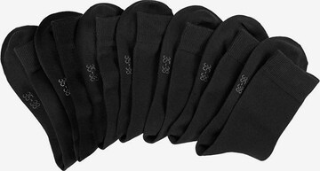 LAVANA Basicsocken (7 Paar) in Schwarz: predná strana