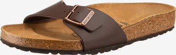 BIRKENSTOCK Pantolette 'Madrid' in Braun: predná strana