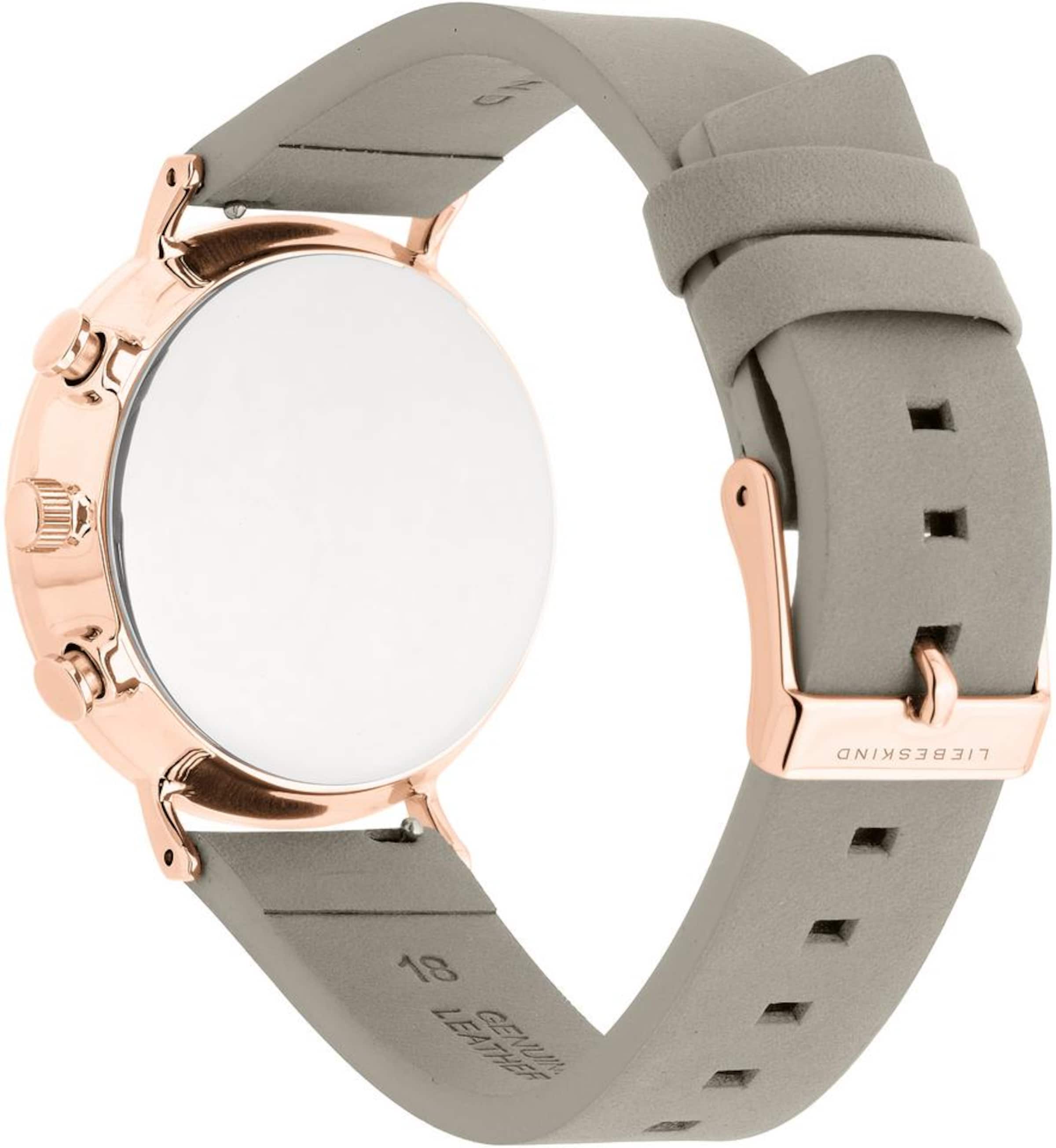 Liebeskind Berlin Analog watch in Grey