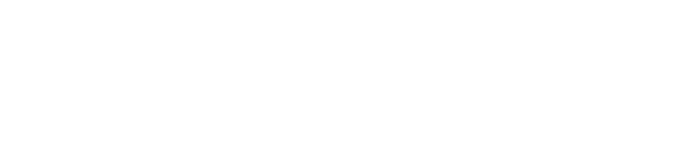 BRAVE SOUL Logo
