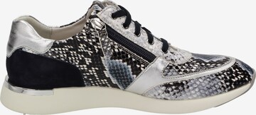 SIOUX Sneakers 'Malosika' in Mixed colors