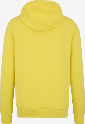 CHIEMSEE Athletic Sweatshirt in Yellow: back