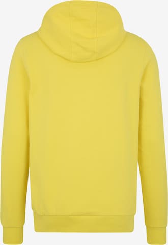CHIEMSEE Αθλητική μπλούζα φούτερ σε κίτρινο: πίσω