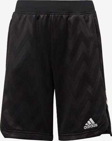 ADIDAS PERFORMANCE Regular Shorts in Schwarz: predná strana