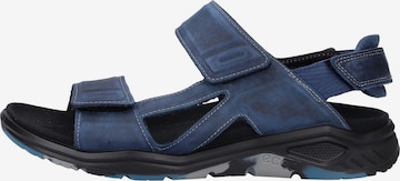 ECCO Hiking Sandals 'X-Trinsic' in Blue