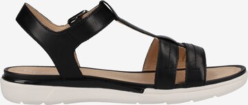 GEOX Sandals in Black