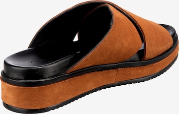 SHABBIES AMSTERDAM Mules in Orange