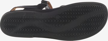 Ganter Sandalen met riem 'Sonnica' in Zwart