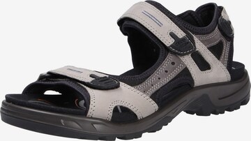 ECCO Hiking Sandals in Grey: front