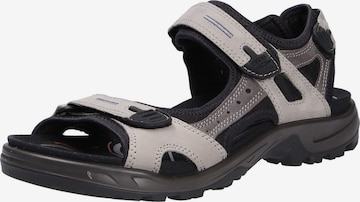 ECCO Sandals in Grey: front