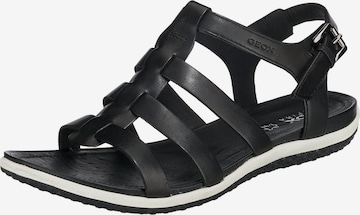 GEOX Strap Sandals 'Vega' in Black: front