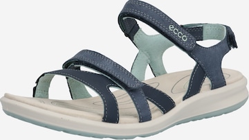 Sandales de randonnée 'Cruise II' ECCO en bleu : devant