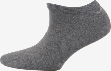 s.Oliver Socken in Grau