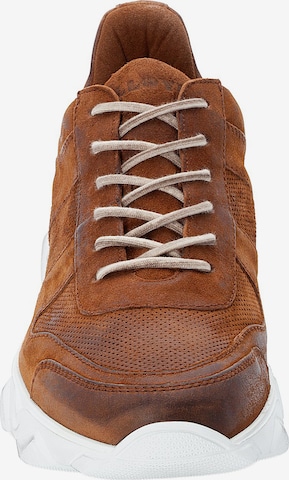 LLOYD Sneaker in Braun