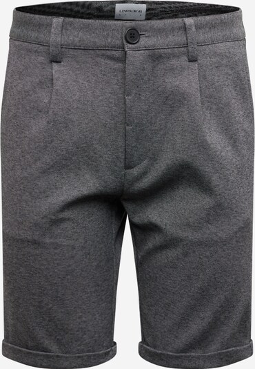 Lindbergh Pleat-Front Pants in mottled grey, Item view