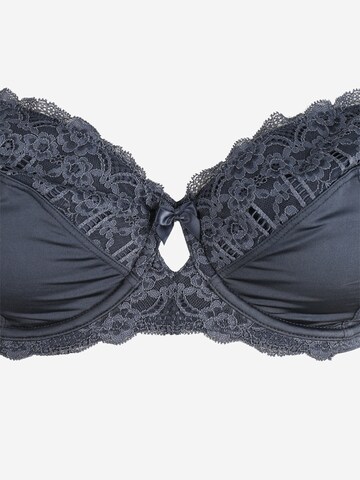 Dorina Regular Bra 'CELINE' in Grey