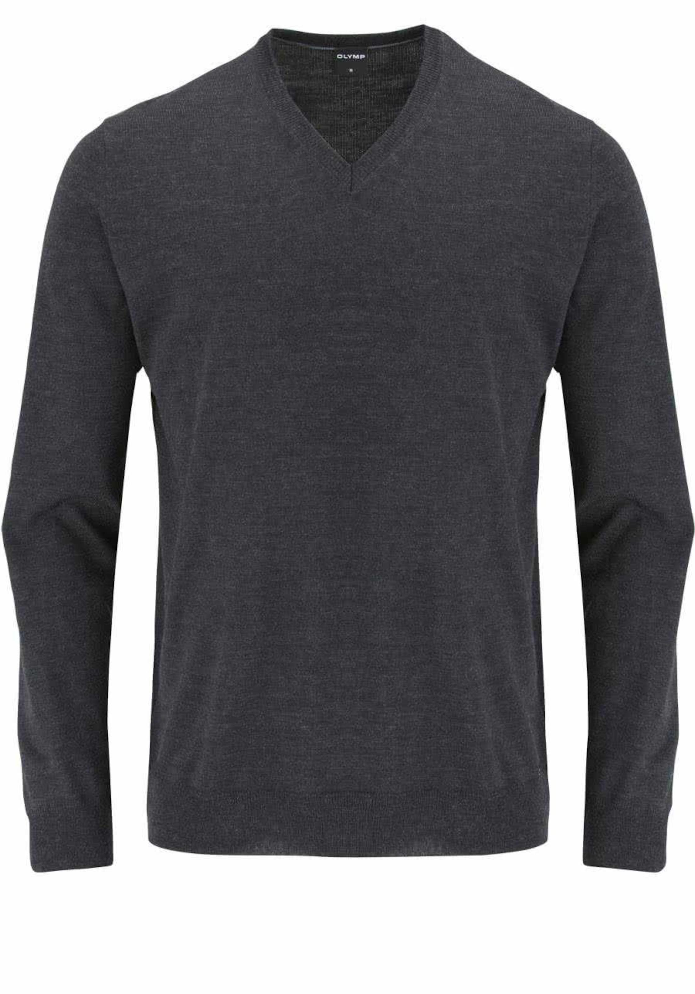 OLYMP Sweater in Grey: front