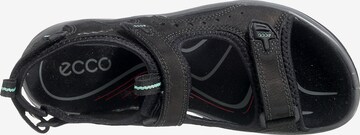 ECCO Trekingové sandály 'Offroad' – černá