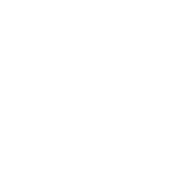 SPIETH & WENSKY Logo