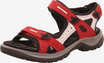 Sandales de randonnée 'Offroad' ECCO en rouge : devant