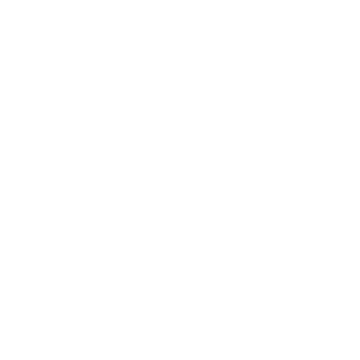 BURTON Logo