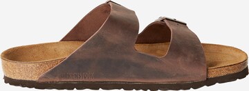 Saboți 'Arizona' de la BIRKENSTOCK pe maro