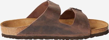 brūns BIRKENSTOCK Ādas čības 'Arizona'