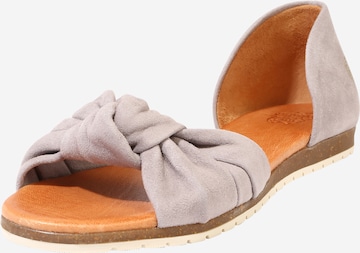 Apple of Eden - Sandalias 'Chelsea' en gris: frente