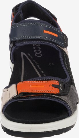 ECCO Sandals in Mixed colors