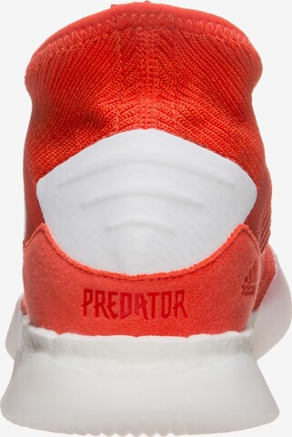 Baskets basses 'Predator 19.1 Trainers Street' ADIDAS SPORTSWEAR en rouge