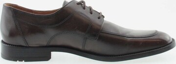 LLOYD Lace-Up Shoes in Brown