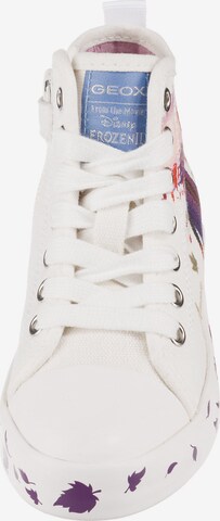 GEOX Sneakers in White