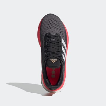 ADIDAS PERFORMANCE Loopschoen in Grijs