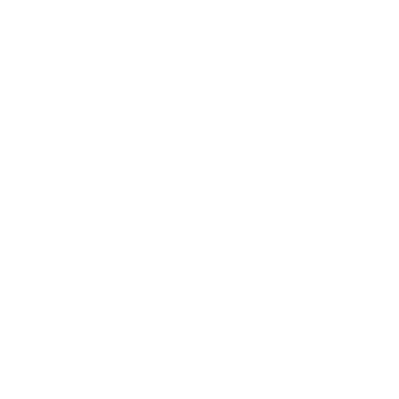 Nixon Logo