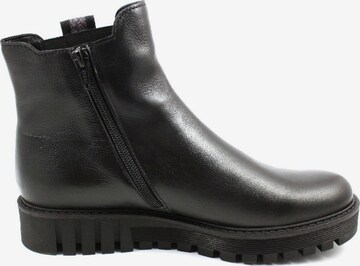 GABOR Ankle Boots in Black