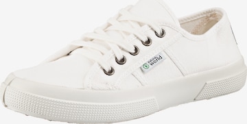 natural world Sneakers in White: front