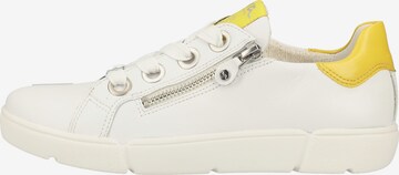 ARA Sneaker in Weiß: predná strana