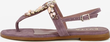 EVITA T-Bar Sandals 'OLIMPIA' in Purple