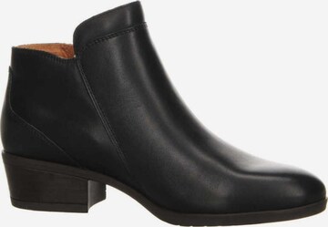 PIKOLINOS Stiefelette in Schwarz