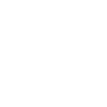 DANISH ENDURANCE Logo