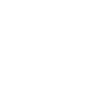 Shoe The Bear Logo