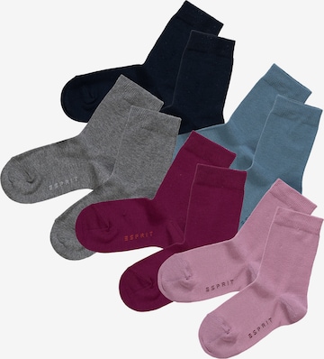 ESPRIT Sokken in Gemengde kleuren