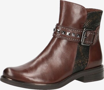 Bottines CAPRICE en marron : devant