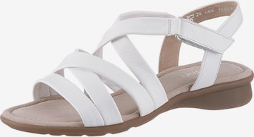 GABOR Strap Sandals in White: front