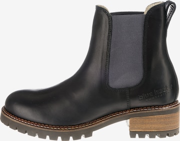 Blue Heeler Chelsea Boots 'Pash' in Schwarz