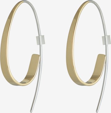 SKAGEN Earrings 'KARIANA' in Gold: front