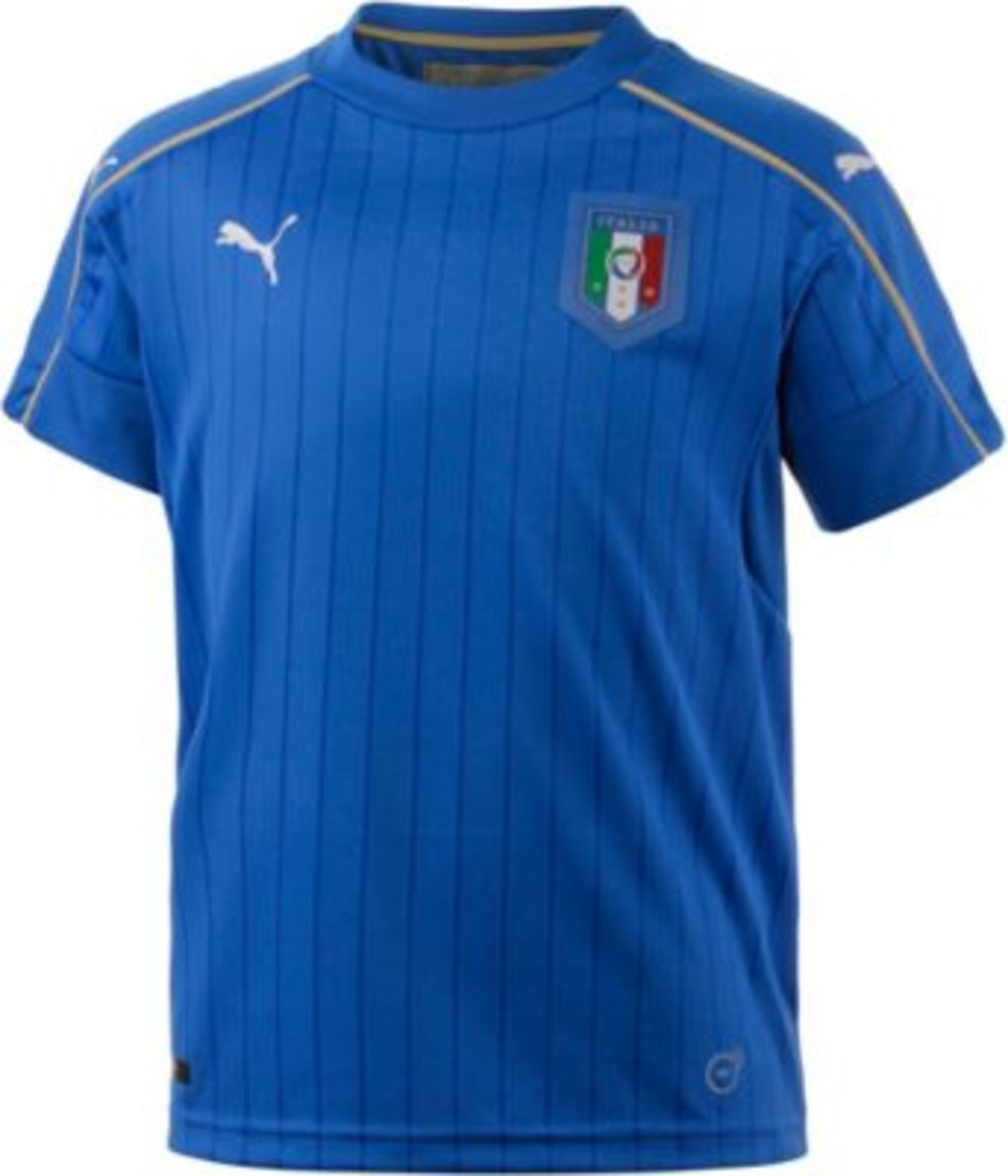 PUMA - Functioneel shirt 'Italien EM 2016 Heim' in de kleur Blauw