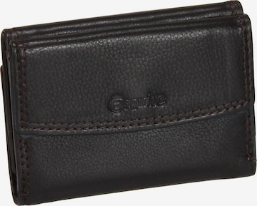 Esquire Wallet in Brown: front